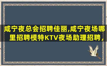 山南酒吧招聘